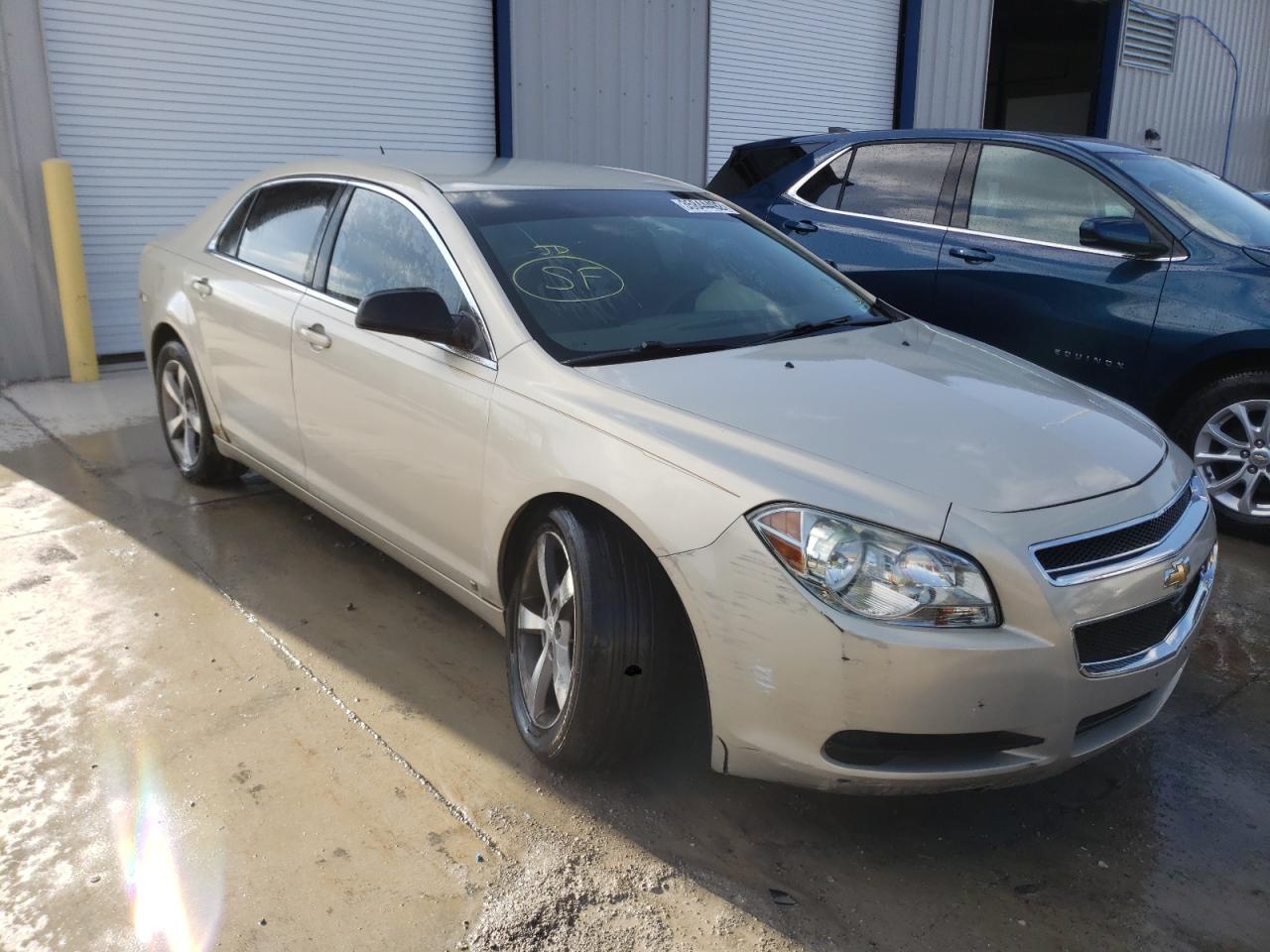 CHEVROLET MALIBU LS 2010 with VIN 1G1ZB5EB9AF114529 - Photo from auction