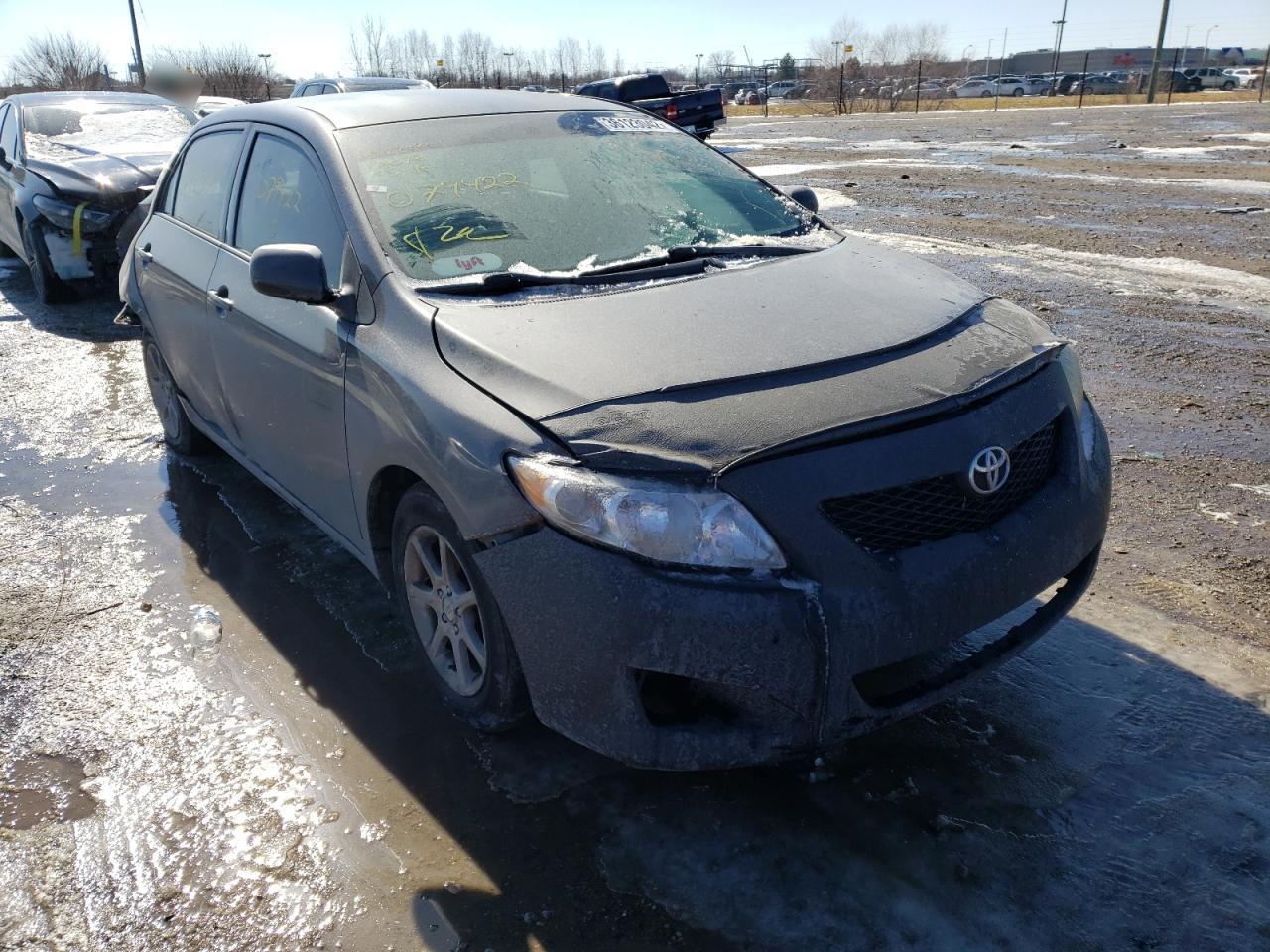 TOYOTA COROLLA BA 2009 with VIN JTDBL40E799079422 - Photo from auction