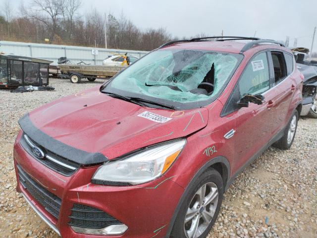 Photo 9 from auction – 2014 FORD ESCAPE SE with VIN 1FMCU0GX6EUD82759