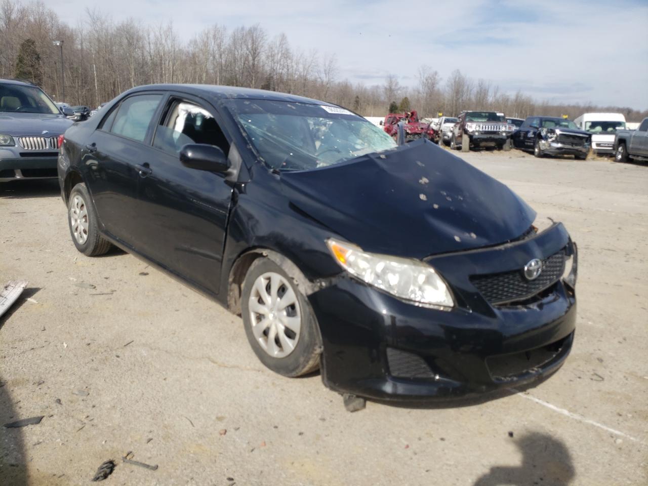 TOYOTA COROLLA BA 2009 with VIN JTDBL40EX99037245 - Photo from auction