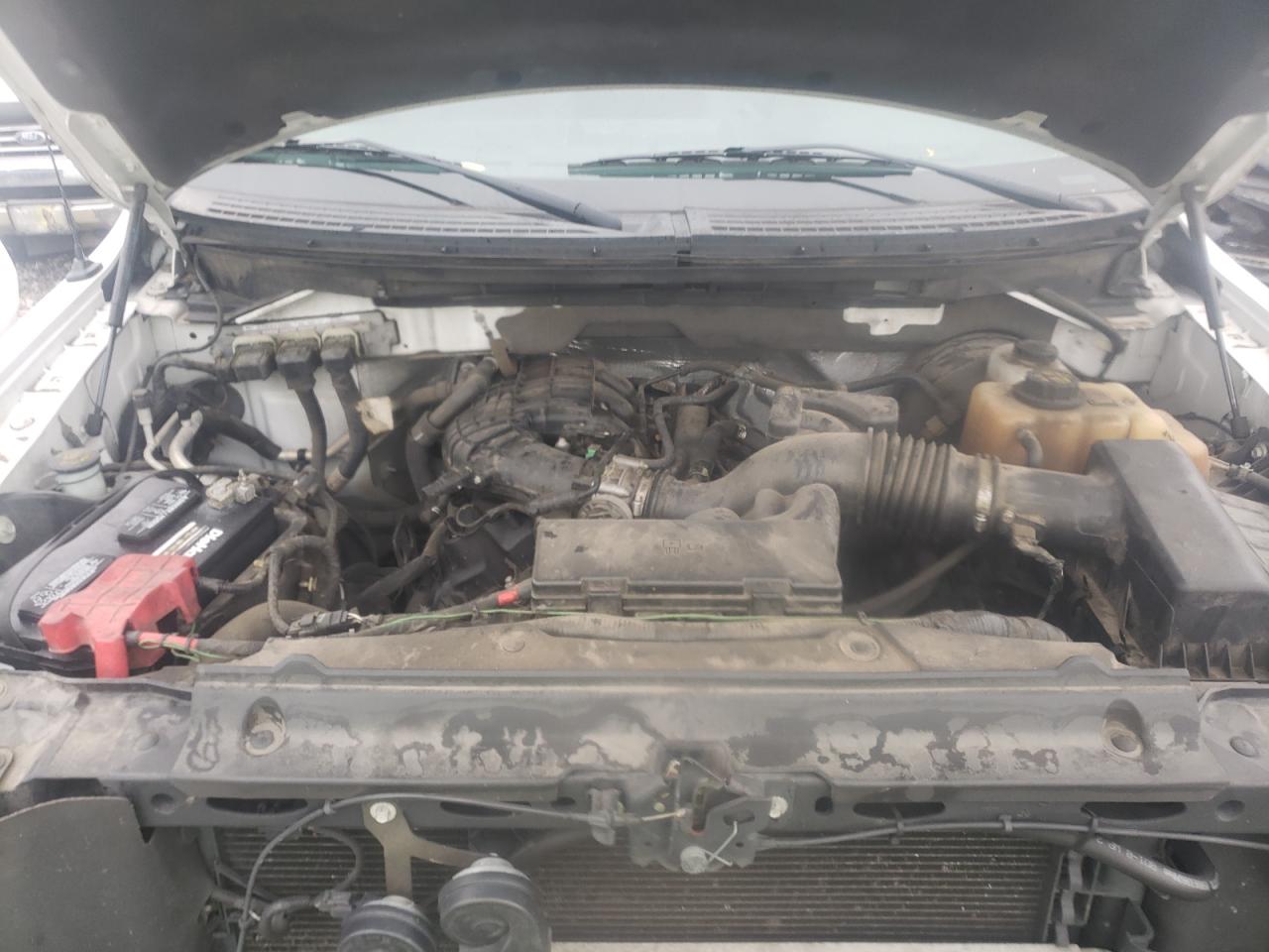 Photo 7 from auction – 2011 FORD F150 with VIN 1FTMF1CM5BFB59276
