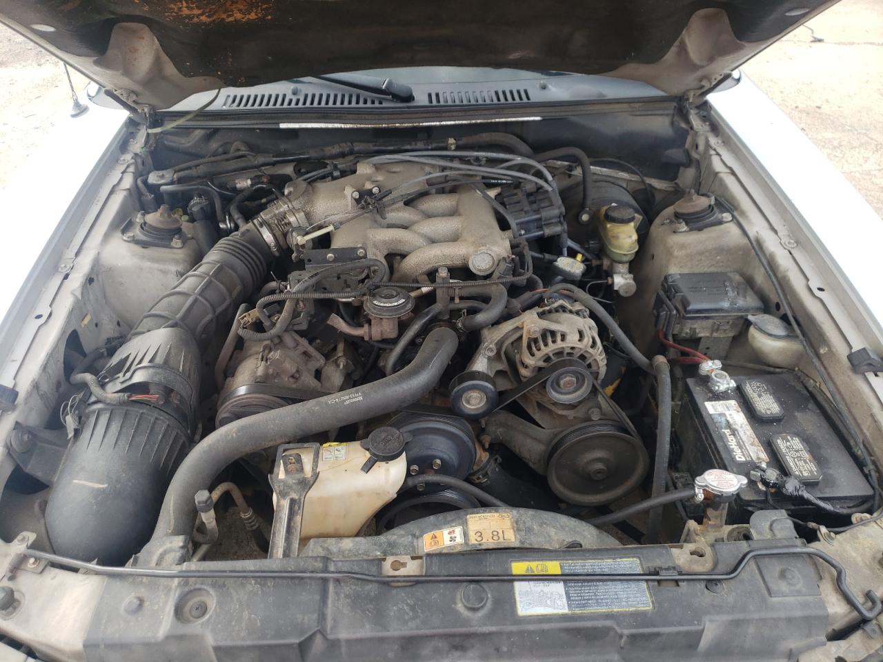 Zdjęcie 7 z aukcji – 2001 FORD MUSTANG z VIN 1FAFP40431F199081