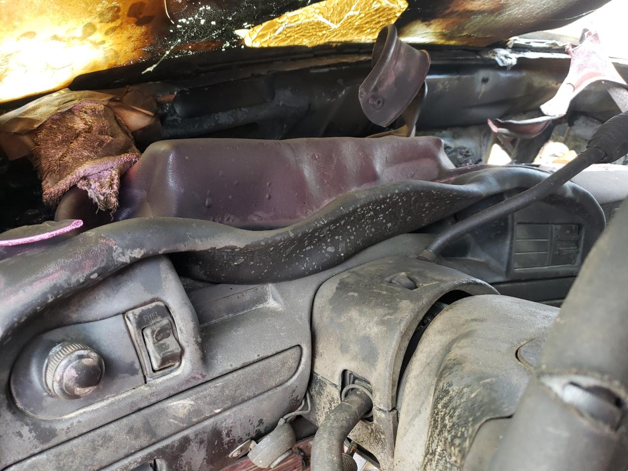Photo 8 from auction – 1995 FORD F150 with VIN 1FTEF14H1SLB92167