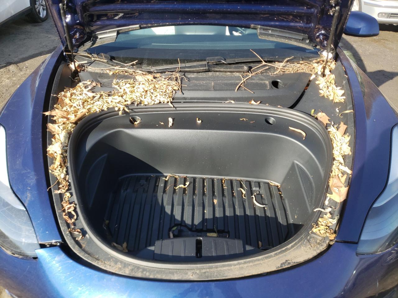 Photo 7 from auction – 2021 TESLA MODEL 3 with VIN 5YJ3E1EB5MF919269