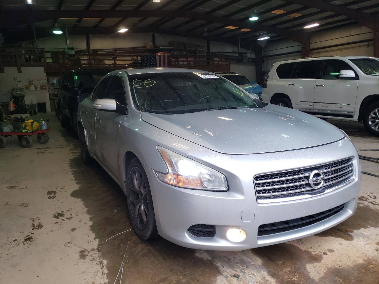 NISSAN MAXIMA S 2009 with VIN 1N4AA51E99C827389 - Photo from auction