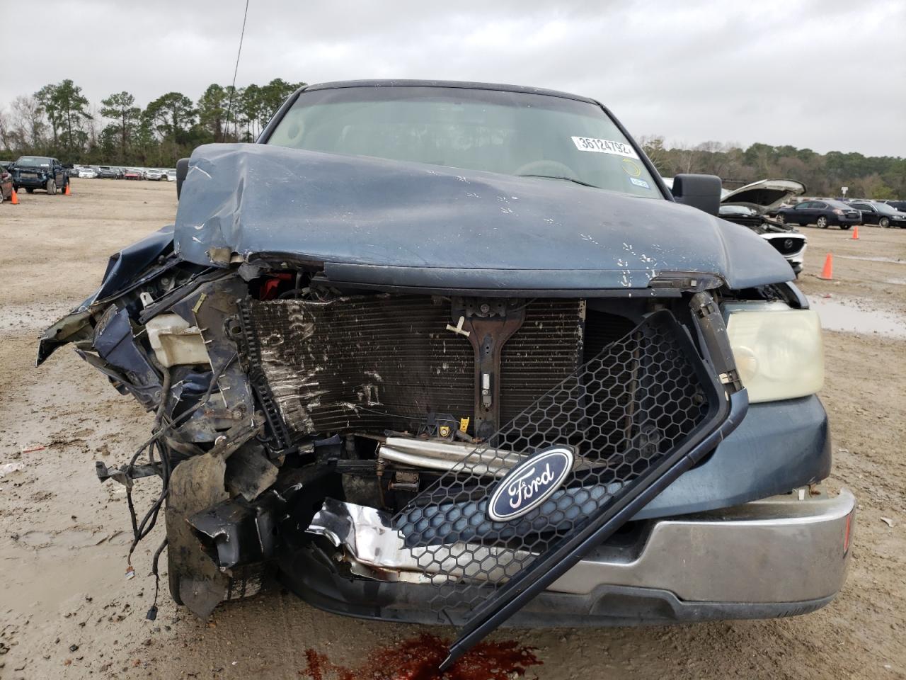 Photo 9 from auction – 2004 FORD F150 with VIN 1FTRX12W74NC33182