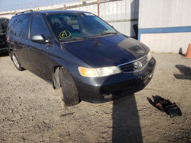 HONDA ODYSSEY EX 2003 with VIN 5FNRL18603B110470 - Photo from auction