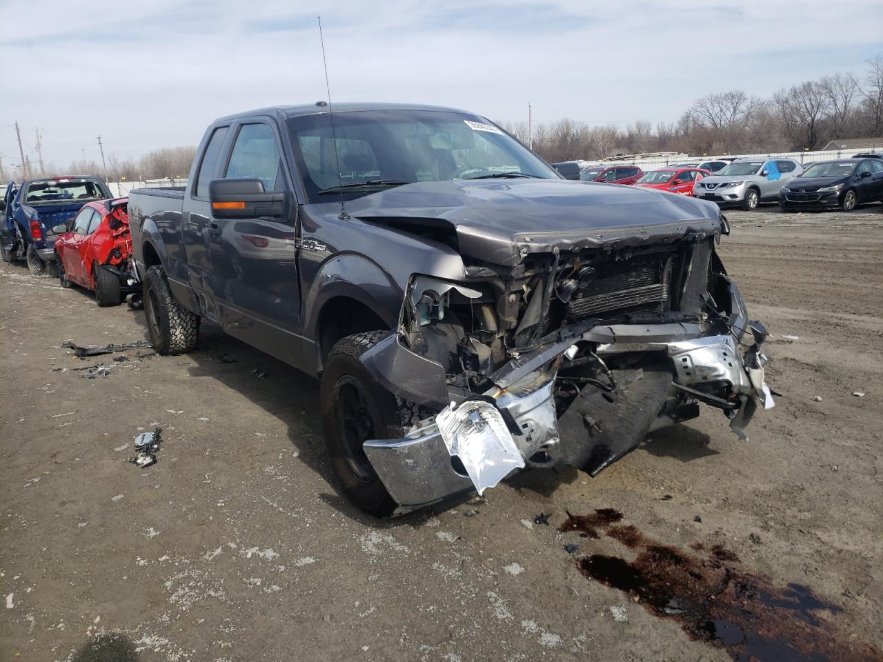 FORD F150 SUPER 2009 with VIN 1FTRX14849FA94600 - Photo from auction