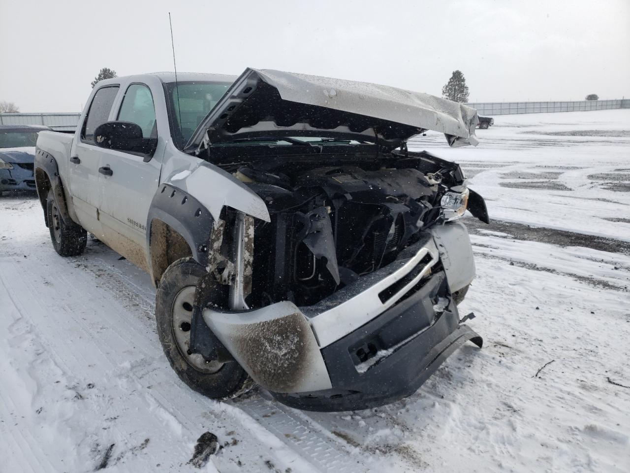 CHEVROLET SILVERADO 2010 with VIN 3GCRKREA5AG202076 - Photo from auction