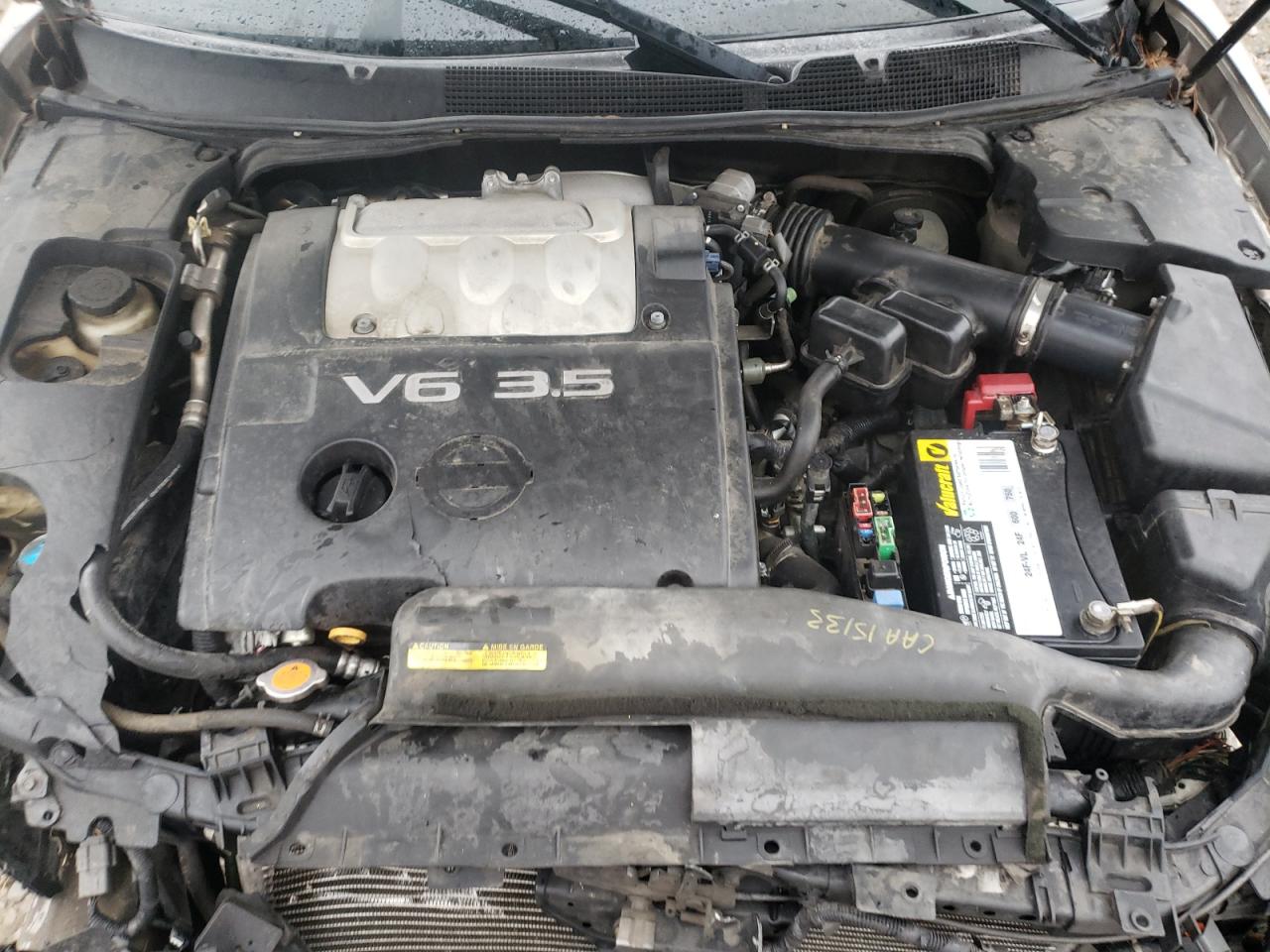 Photo 7 from auction – 2008 NISSAN MAXIMA SE with VIN 1N4BA41E78C815741