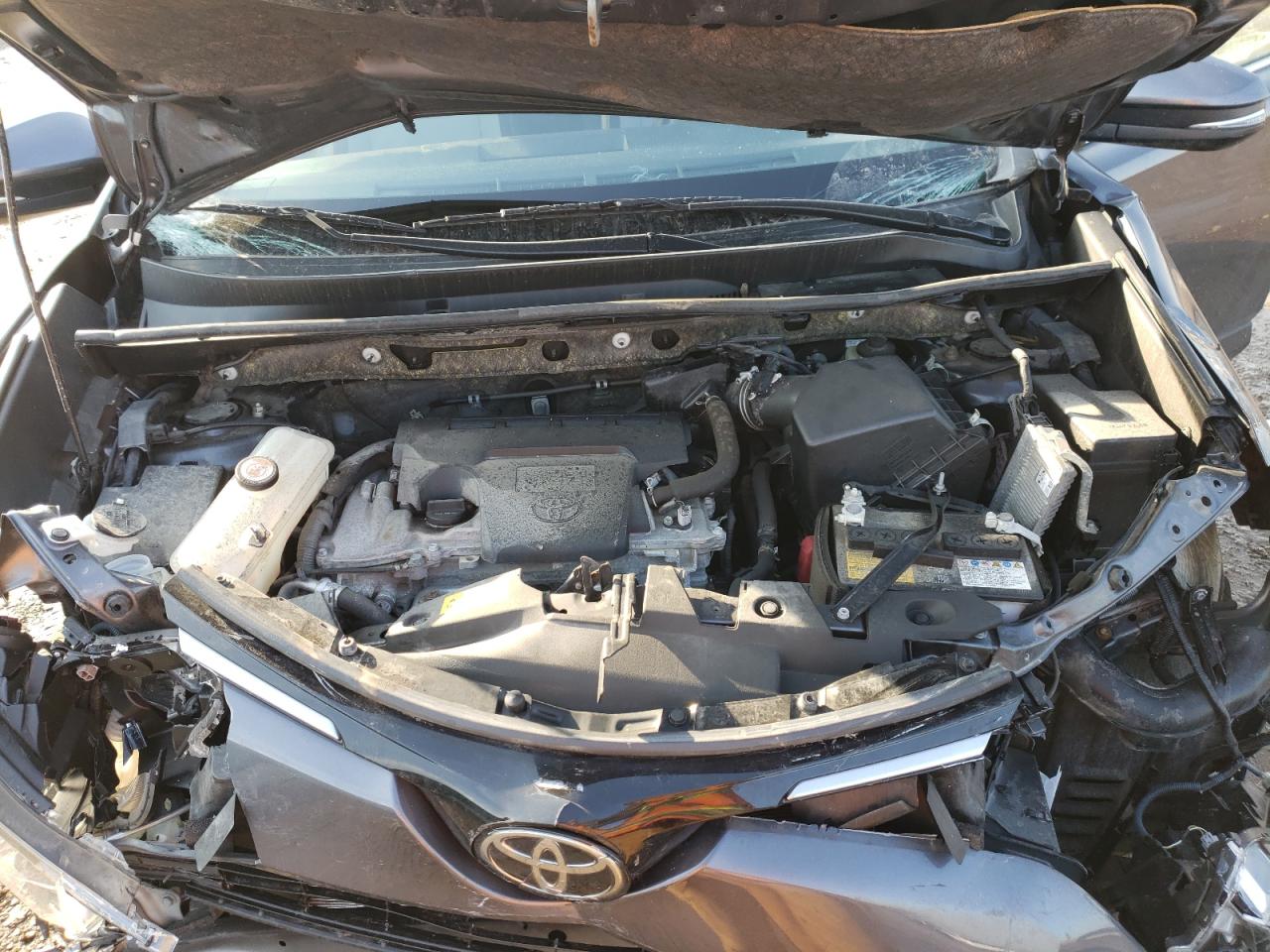 Photo 7 from auction – 2017 TOYOTA RAV4 XLE with VIN JTMRFREV0HJ131790