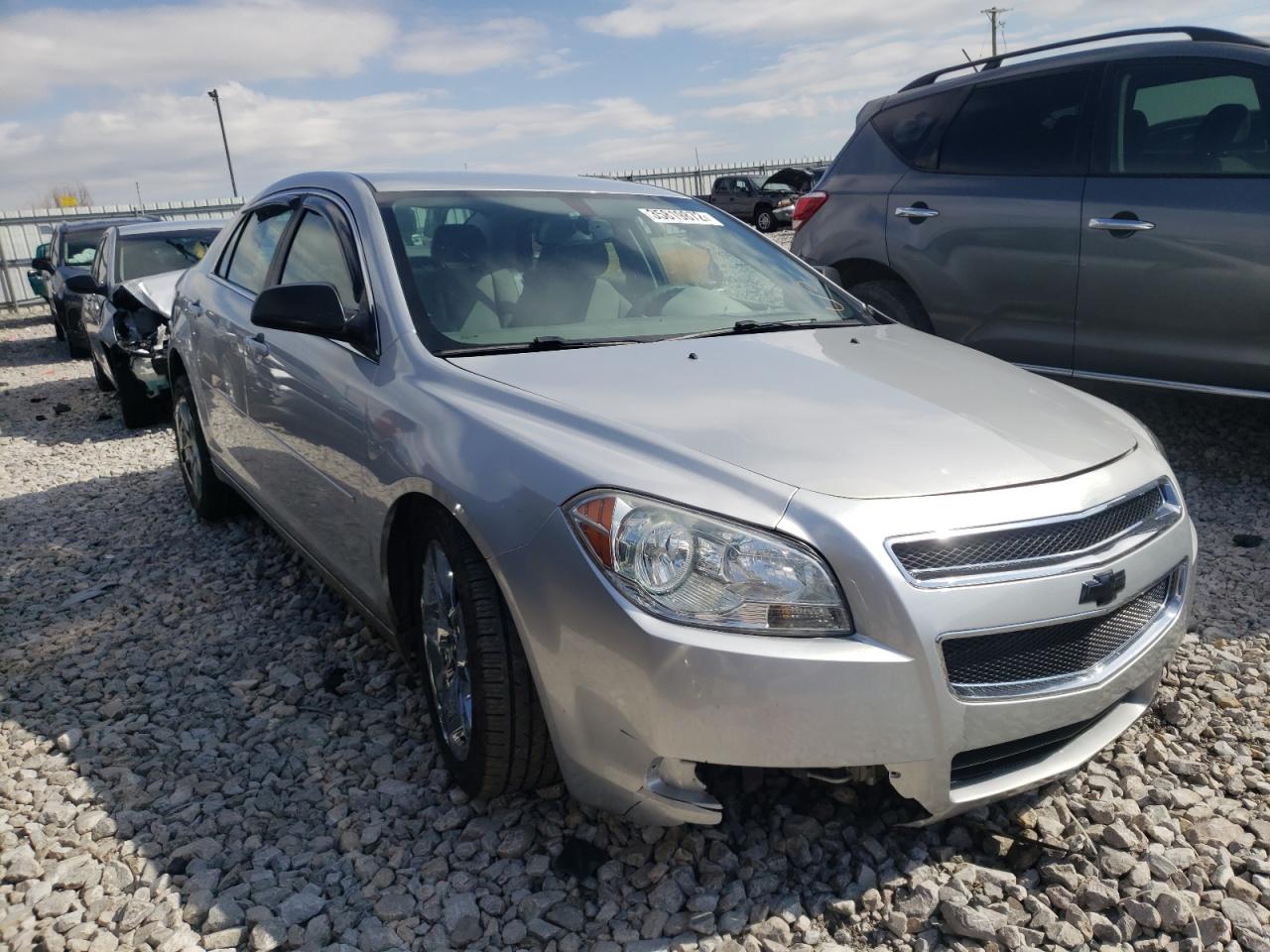 CHEVROLET MALIBU LS 2011 with VIN 1G1ZB5E10BF209876 - Photo from auction