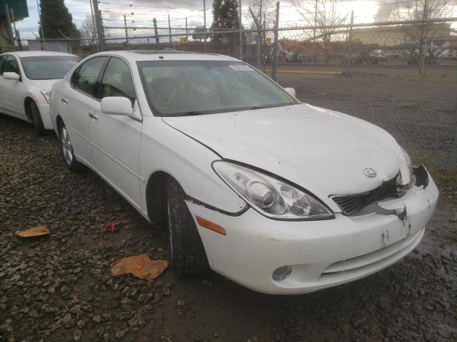 LEXUS ES 330 2005 with VIN JTHBA30GX55075320 - Photo from auction