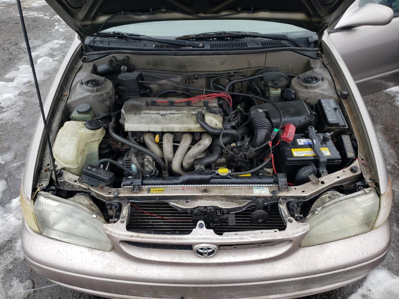 Photo 12 from auction – 1999 TOYOTA COROLLA VE with VIN 2T1BR12E1XC752934