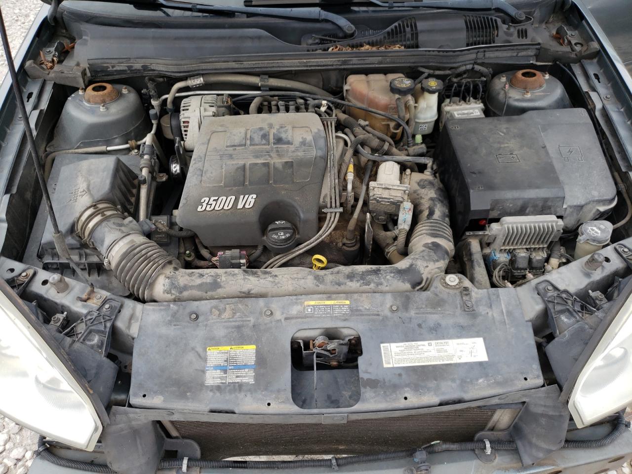 Photo 7 from auction – 2005 CHEVROLET MALIBU MAX with VIN 1G1ZT62865F200365