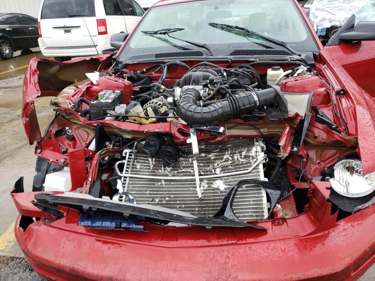 Photo 7 from auction – 2008 FORD MUSTANG with VIN 1ZVHT80N685117467