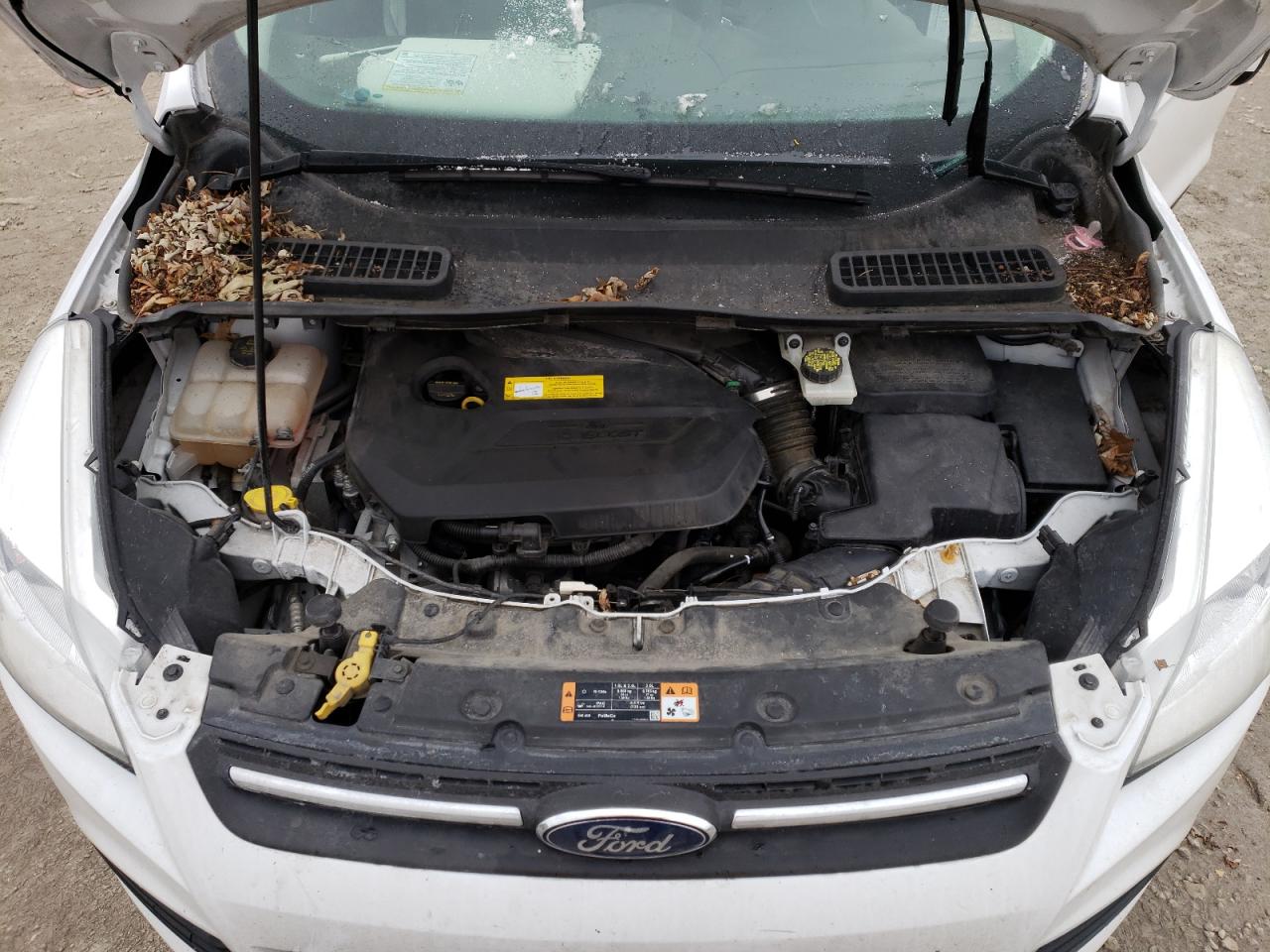 Photo 7 from auction – 2015 FORD ESCAPE SE with VIN 1FMCU0GX8FUB06147