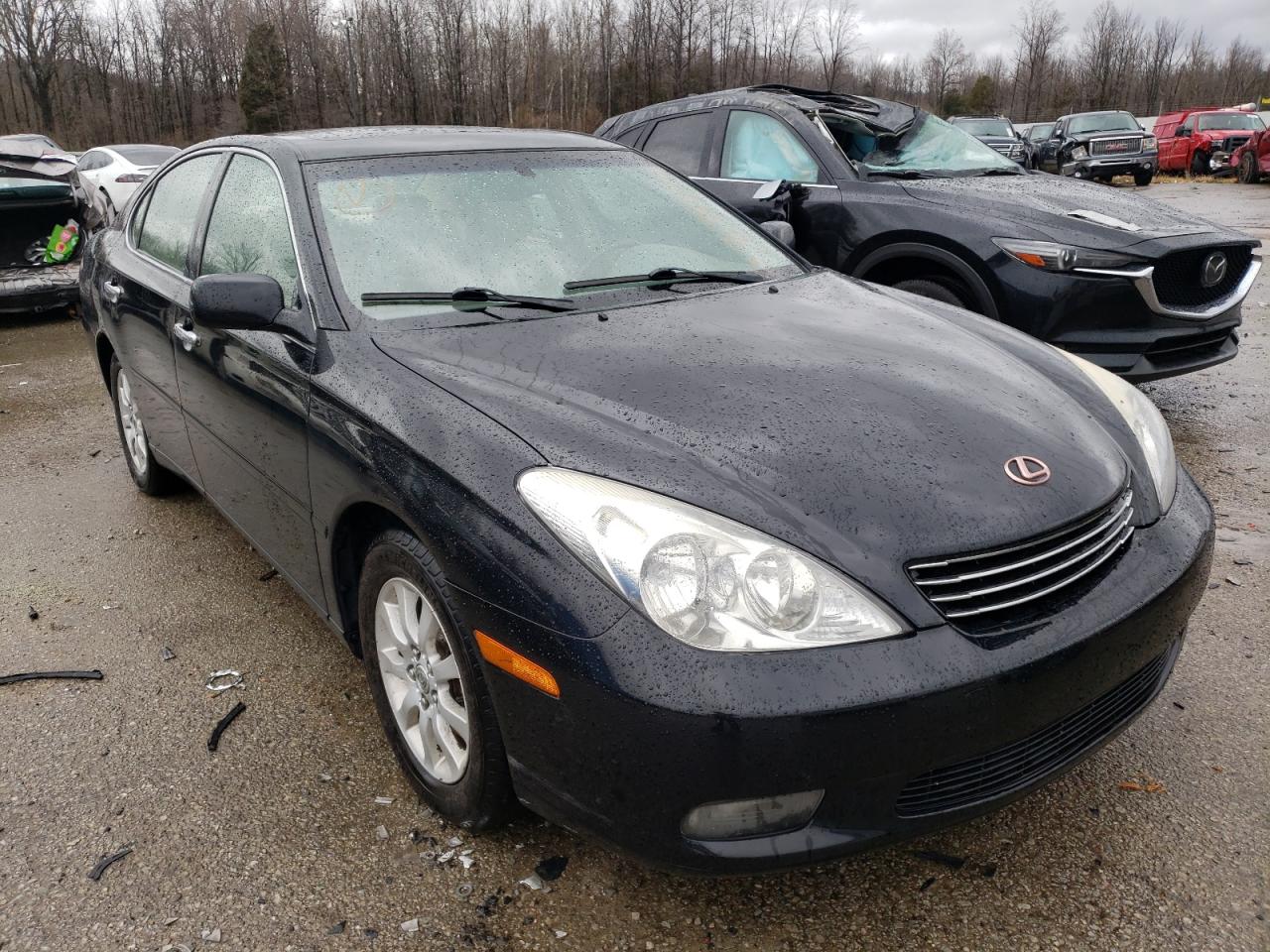 LEXUS ES 300 2002 with VIN JTHBF30G125035348 - Photo from auction