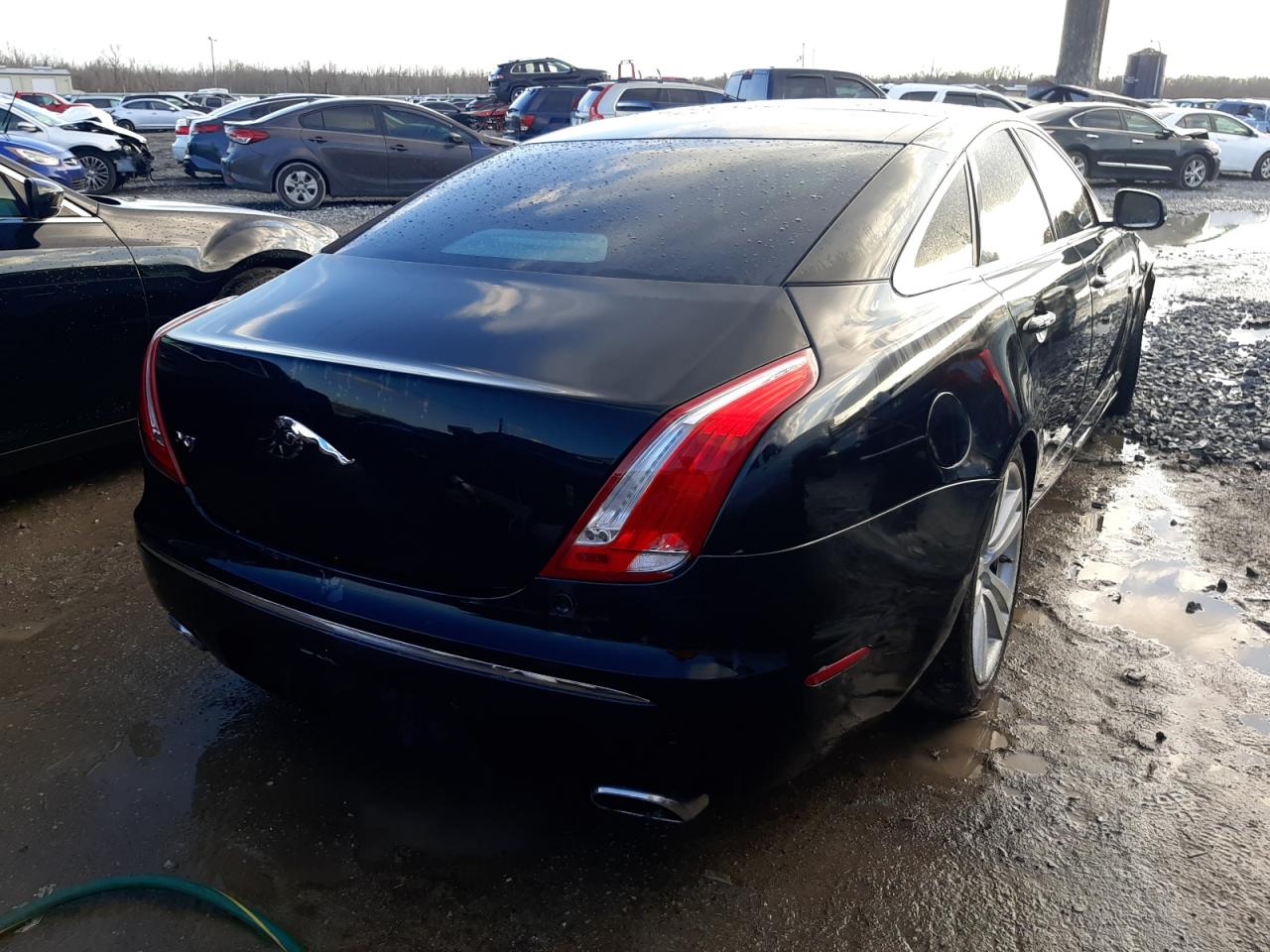 Фото 4 с аукциона – 2011 JAGUAR XJ с VIN SAJWA1CB2BLV13456