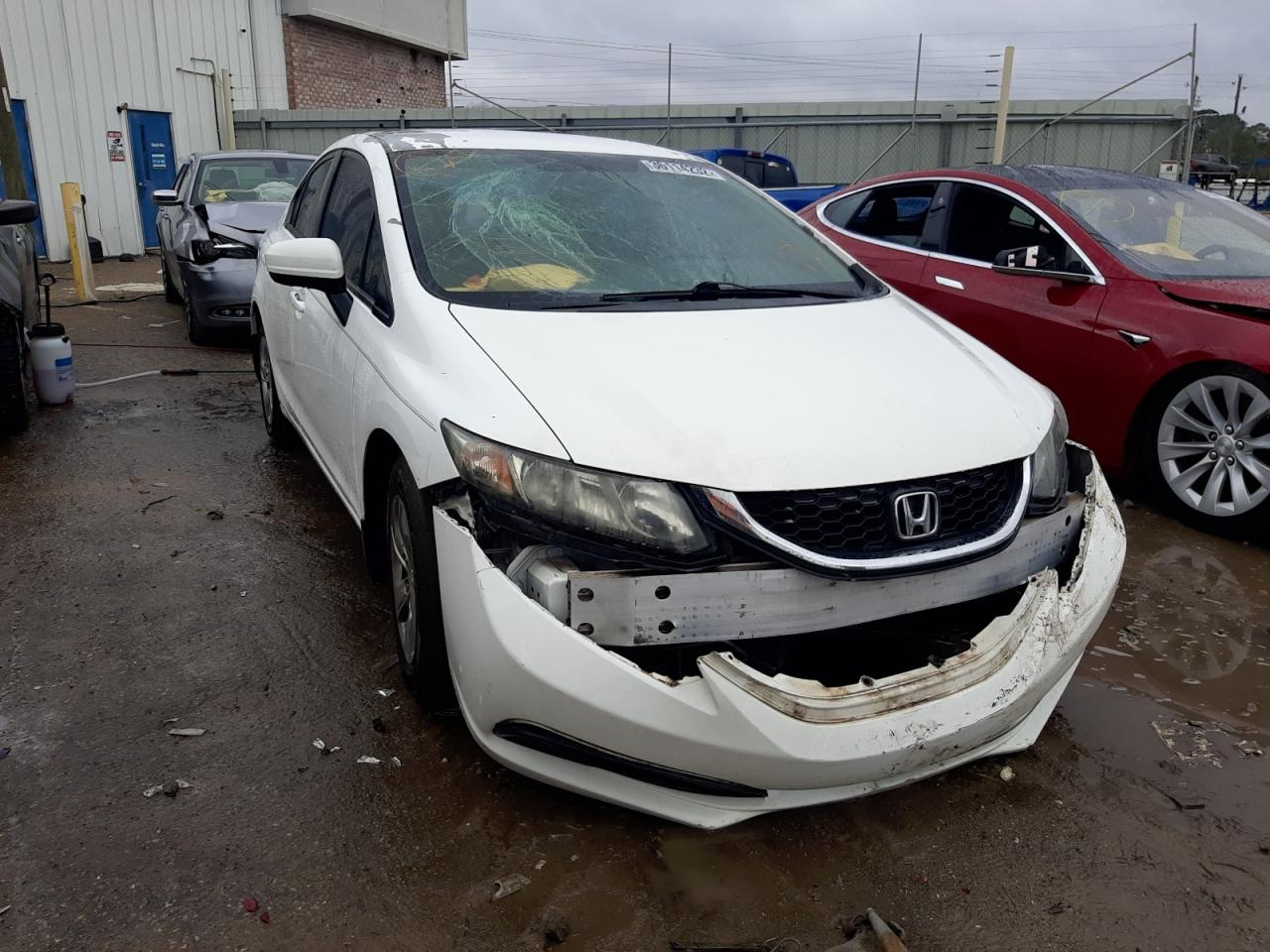 HONDA CIVIC LX 2014 with VIN 19XFB2F50EE020587 - Photo from auction