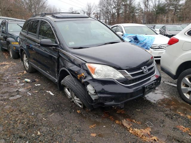 HONDA CRV 2010 with VIN 5J6RE3H53AL032350 - Photo from auction
