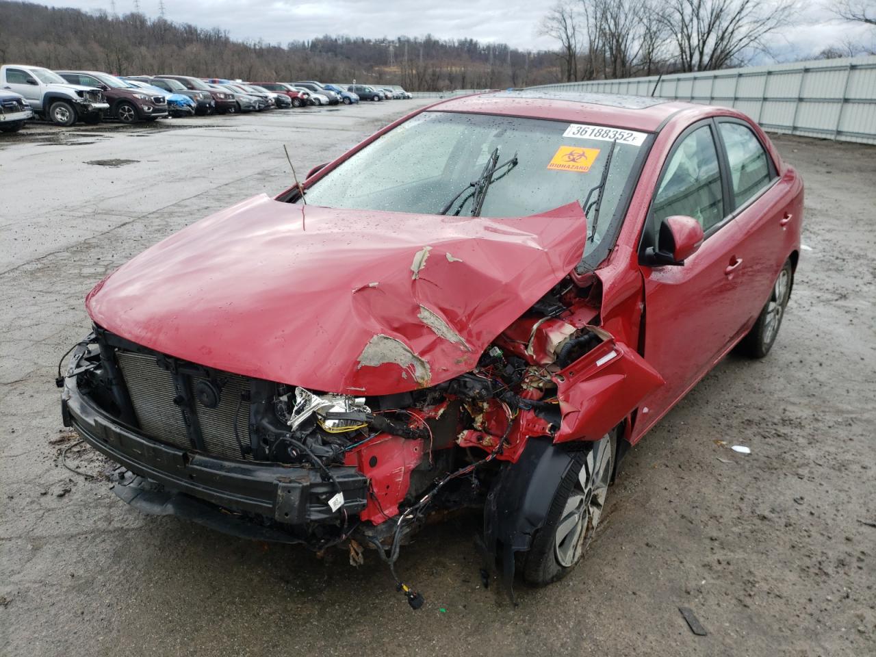 Photo 2 from auction – 2013 KIA FORTE EX with VIN KNAFU4A23D5673666