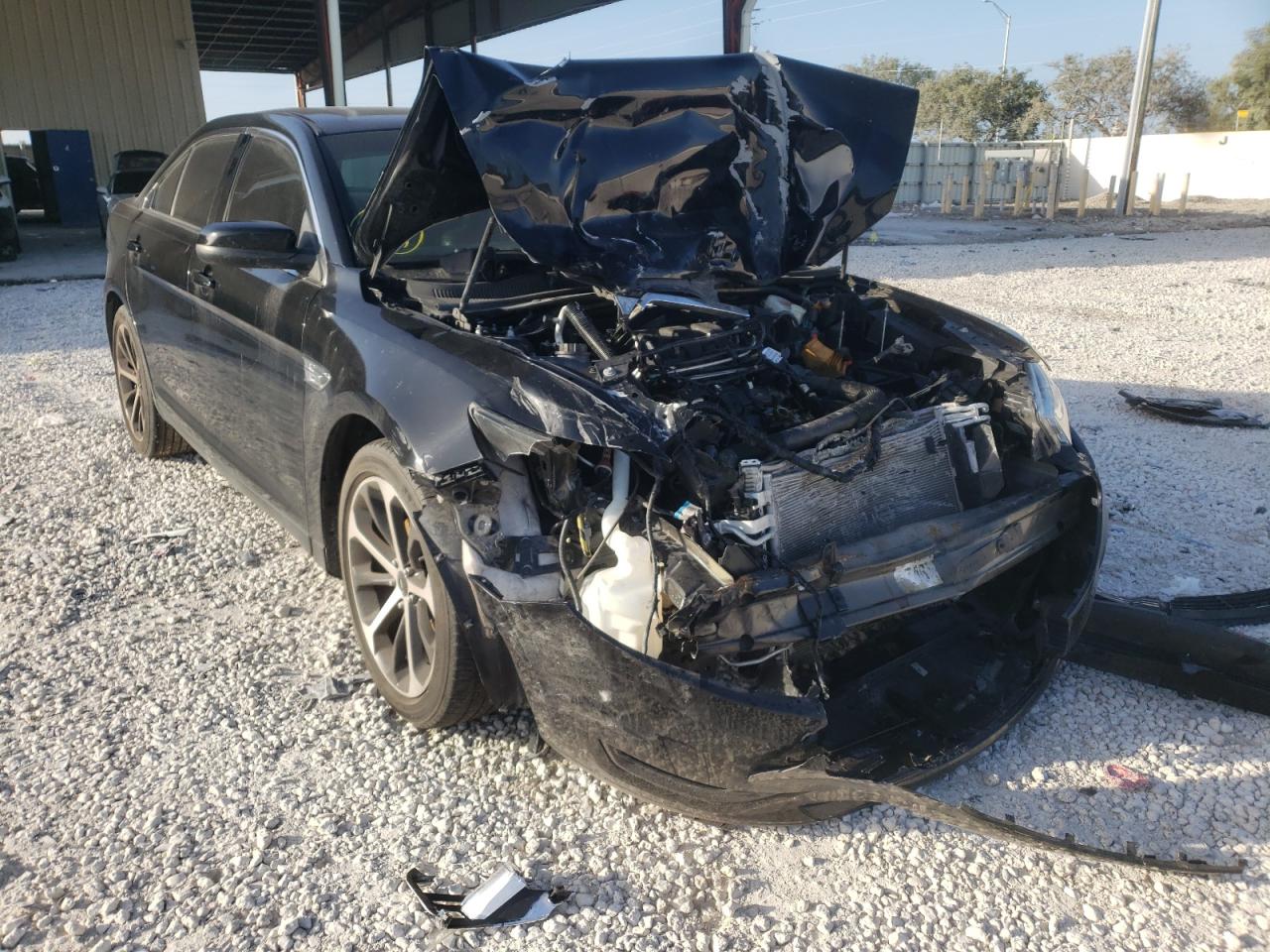 FORD TAURUS SEL 2016 with VIN 1FAHP2E87GG145049 - Photo from auction