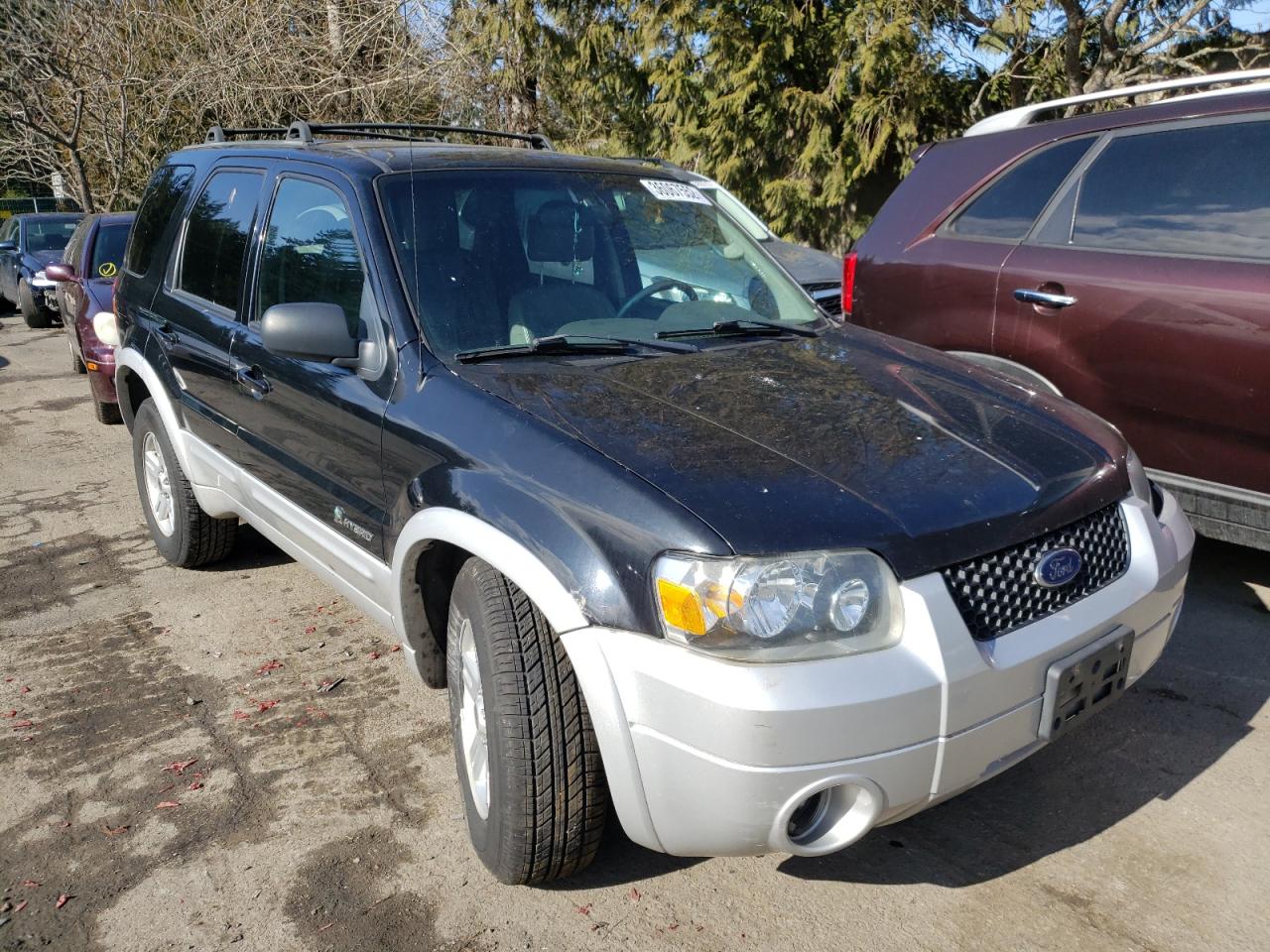 FORD ESCAPE HEV 2006 with VIN 1FMCU96H96KB79960 - Photo from auction
