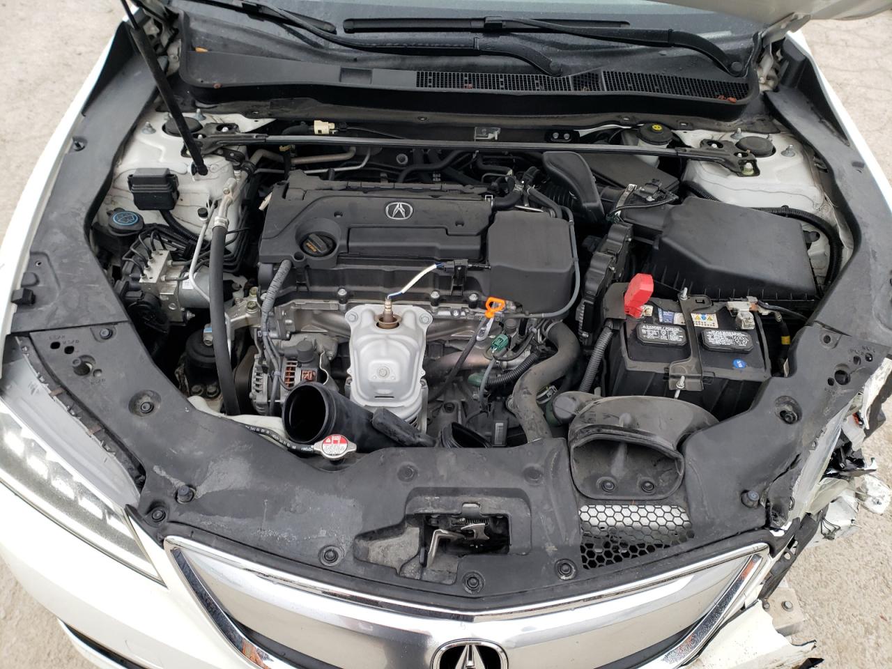 Photo 7 from auction – 2016 ACURA TLX with VIN 19UUB1F38GA005603