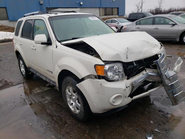 FORD ESCAPE HYB 2010 with VIN 1FMCU5K34AKB20553 - Photo from auction