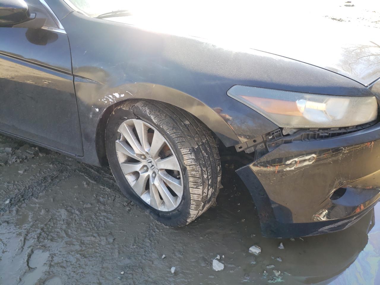 Photo 9 from auction – 2008 HONDA ACCORD EXL with VIN 1HGCS228X8A014940