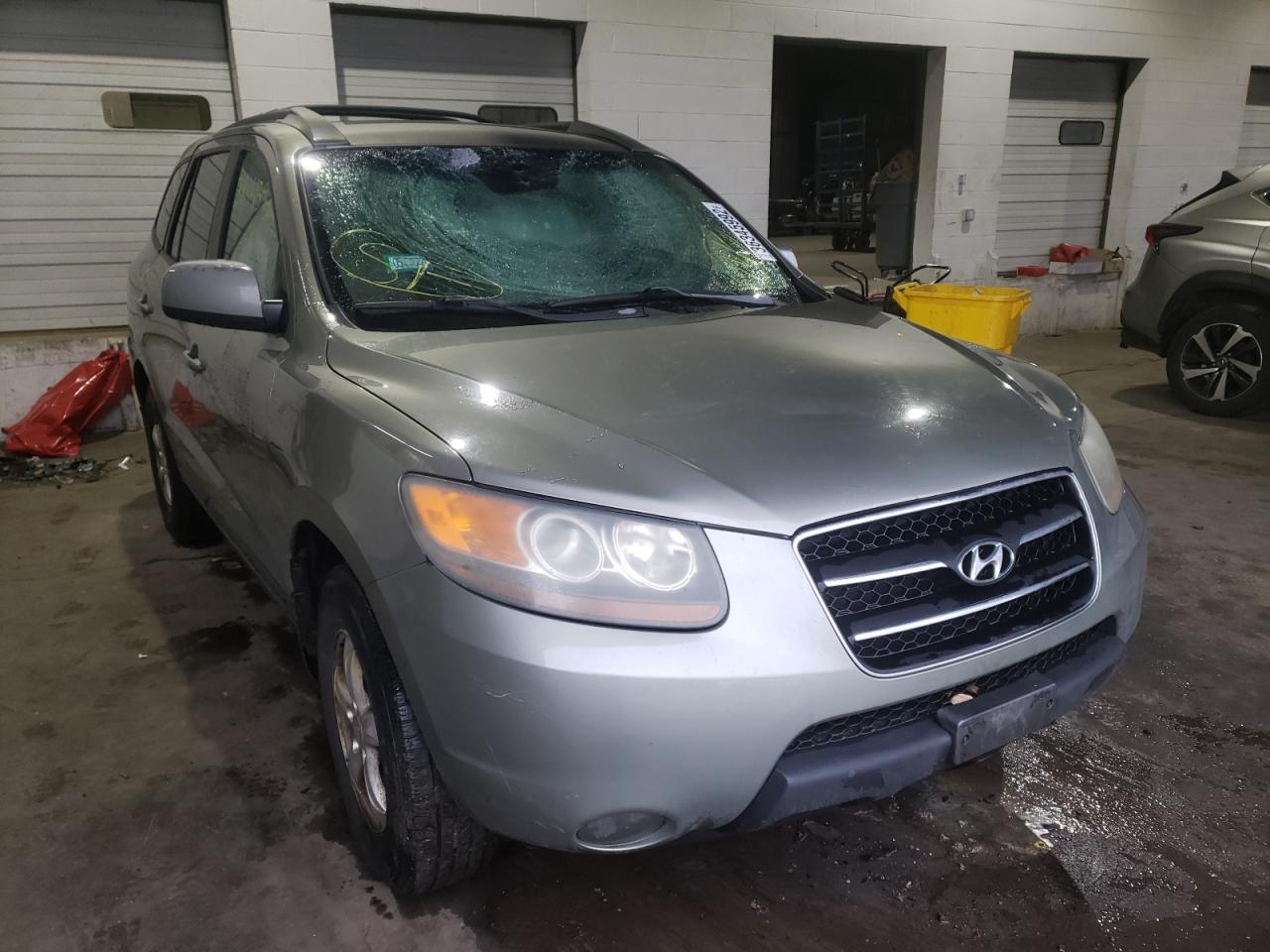 HYUNDAI SANTA FE G 2007 with VIN 5NMSG13D97H113223 - Photo from auction