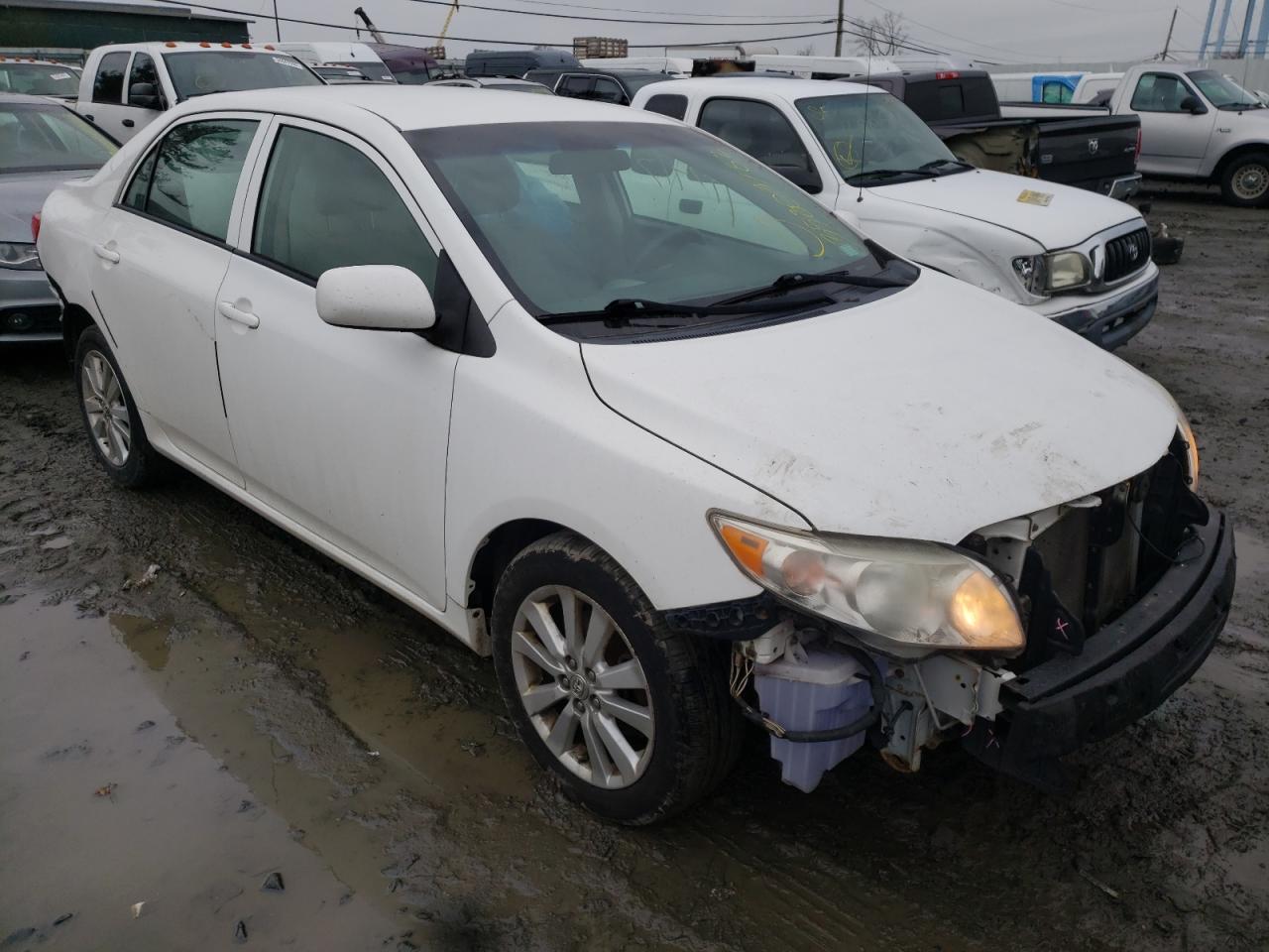 TOYOTA COROLLA BA 2010 with VIN 2T1BU4EE5AC194556 - Photo from auction