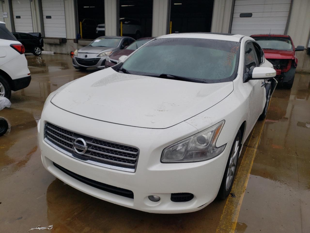 Photo 2 from auction – 2009 NISSAN MAXIMA S with VIN 1N4AA51E89C817713