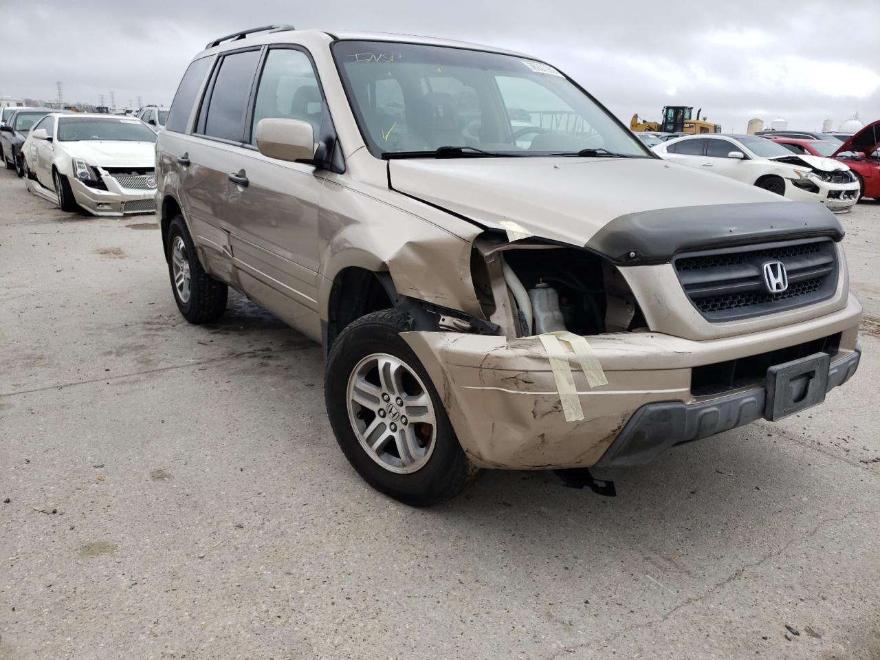 HONDA PILOT EXL 2005 with VIN 5FNYF18685B042313 - Photo from auction