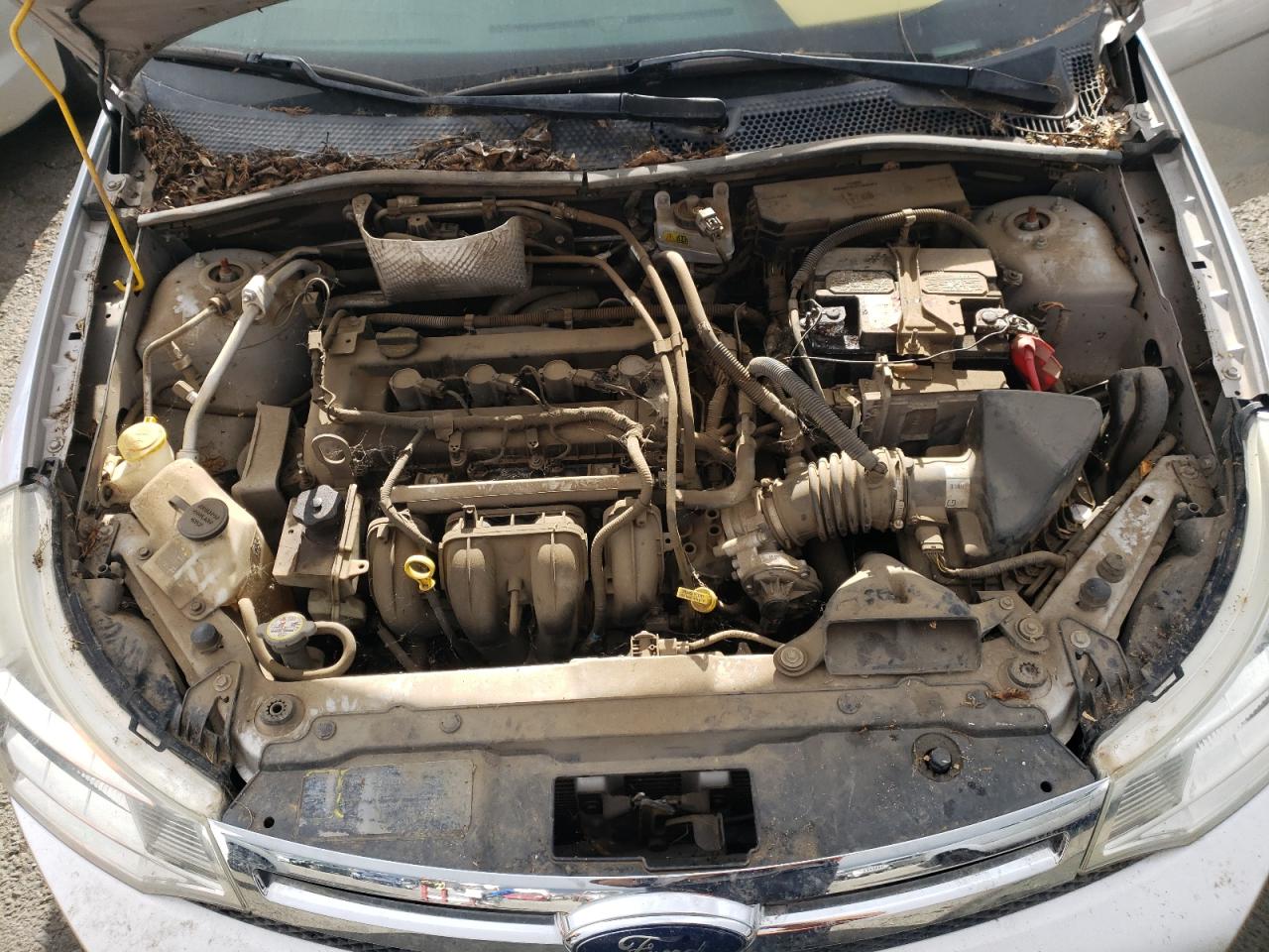 Photo 7 from auction – 2010 FORD FOCUS SEL with VIN 1FAHP3HN3AW175220