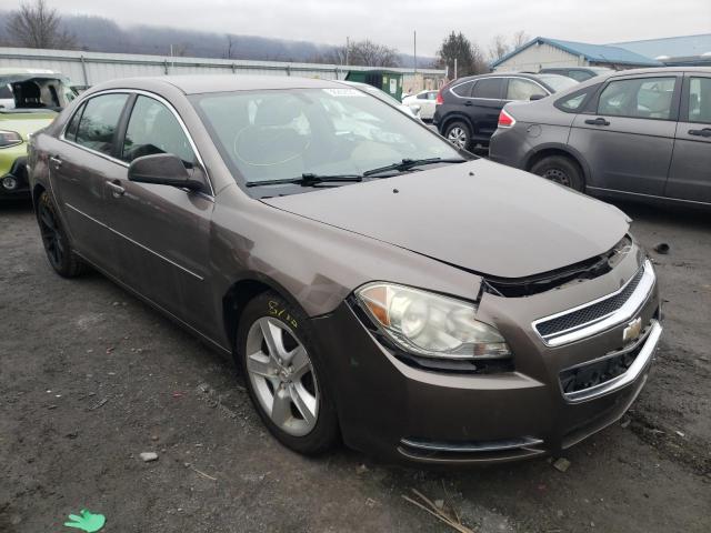 CHEVROLET MALIBU LS 2011 with VIN 1G1ZB5E14BF224851 - Photo from auction
