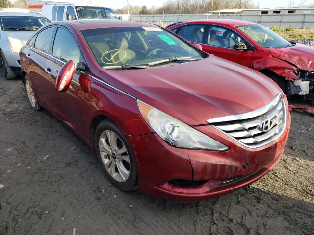 HYUNDAI SONATA SE 2011 with VIN 5NPEC4AC7BH224899 - Photo from auction