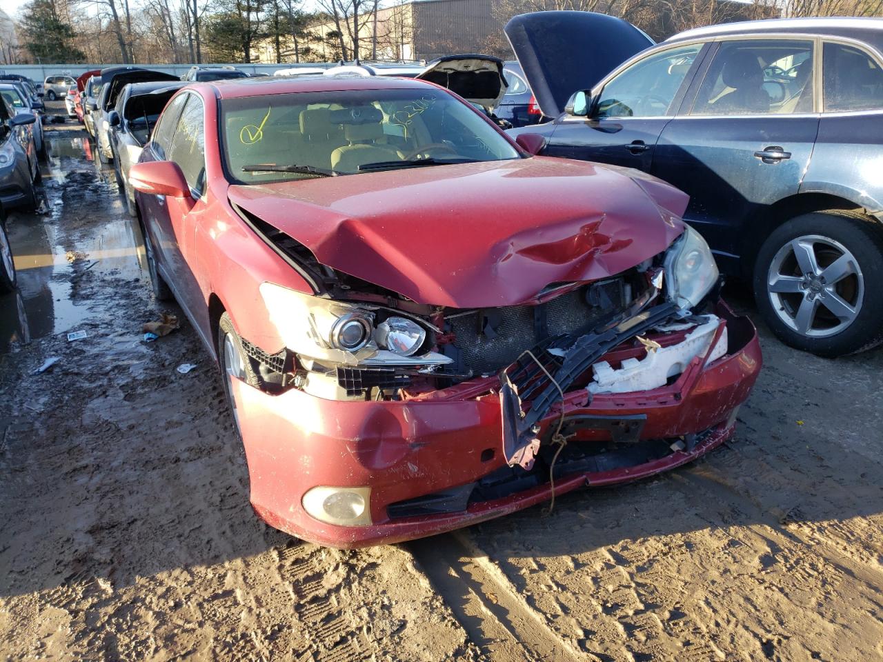 Photo 9 from auction – 2010 LEXUS ES 350 with VIN JTHBK1EG0A2357438