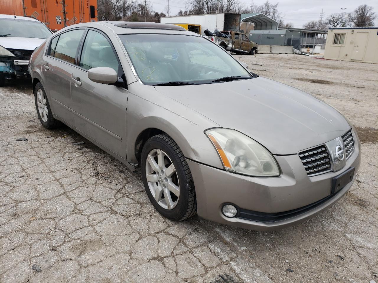 NISSAN MAXIMA SE 2006 with VIN 1N4BA41E26C866125 - Photo from auction