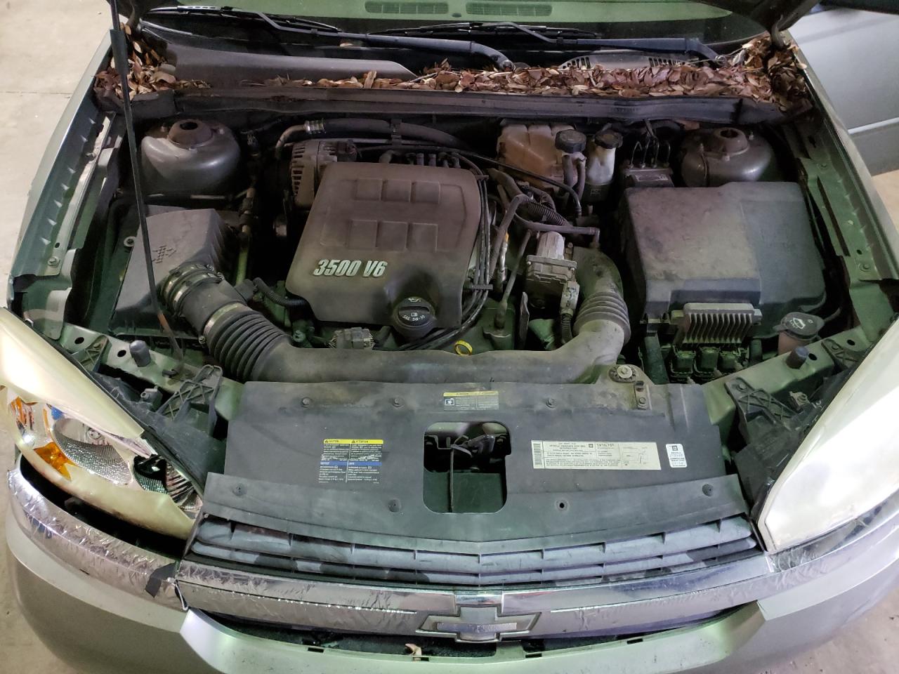 Photo 7 from auction – 2005 CHEVROLET MALIBU MAX with VIN 1G1ZT62895F271334