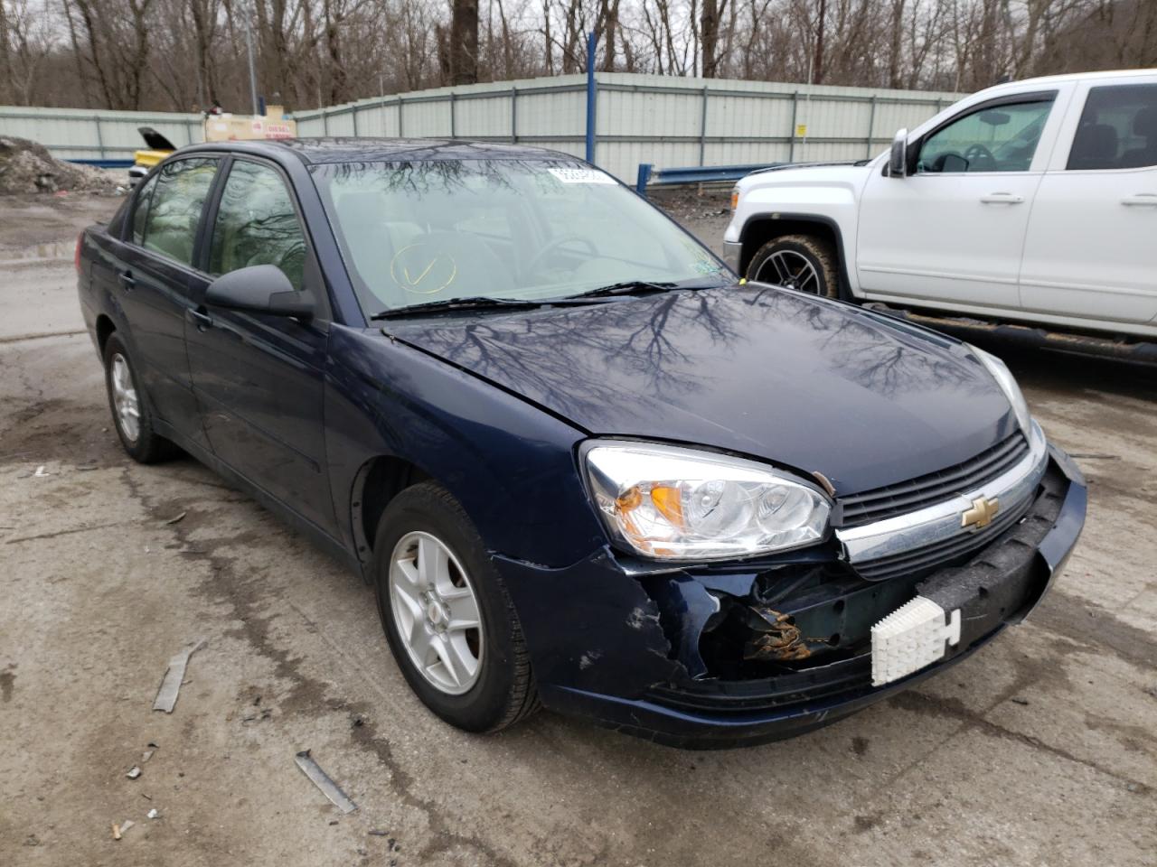 Photo 1 from auction – 2004 CHEVROLET MALIBU LS with VIN 1G1ZT54894F156111