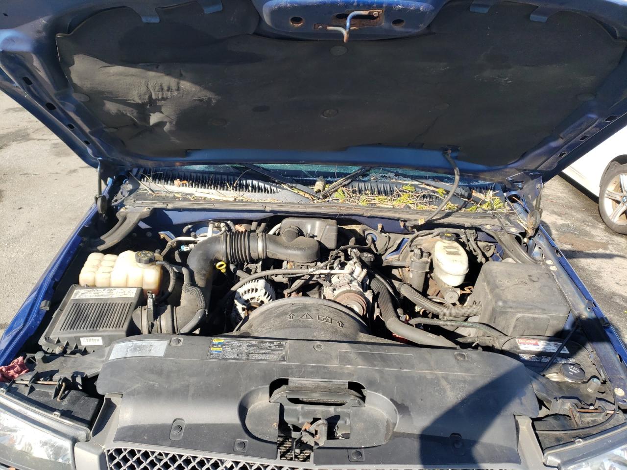 Photo 7 from auction – 2004 CHEVROLET SILVERADO with VIN 1GCEC14X74Z316345