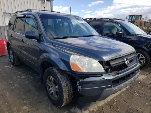 HONDA PILOT EX 2005 with VIN 5FNYF18485B053407 - Photo from auction