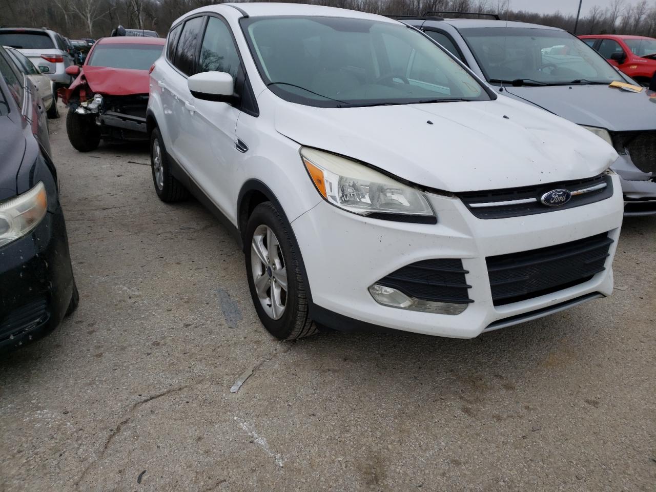 FORD ESCAPE SE 2014 with VIN 1FMCU0GX9EUC38851 - Photo from auction