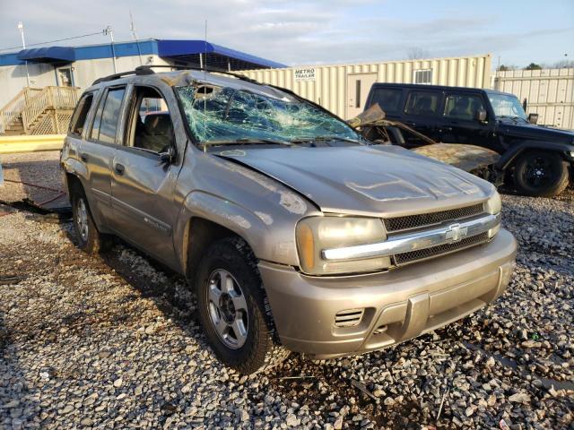 CHEVROLET TRAILBLAZE 2002 with VIN 1GNDT13S622193460 - Photo from auction