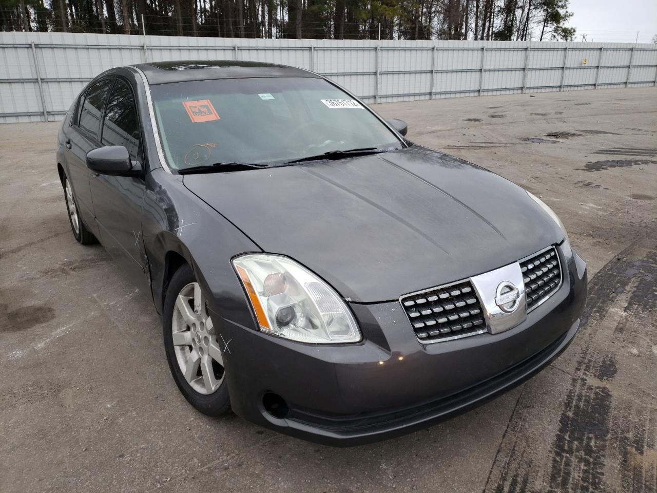 NISSAN MAXIMA SE 2004 with VIN 1N4BA41E34C896103 - Photo from auction