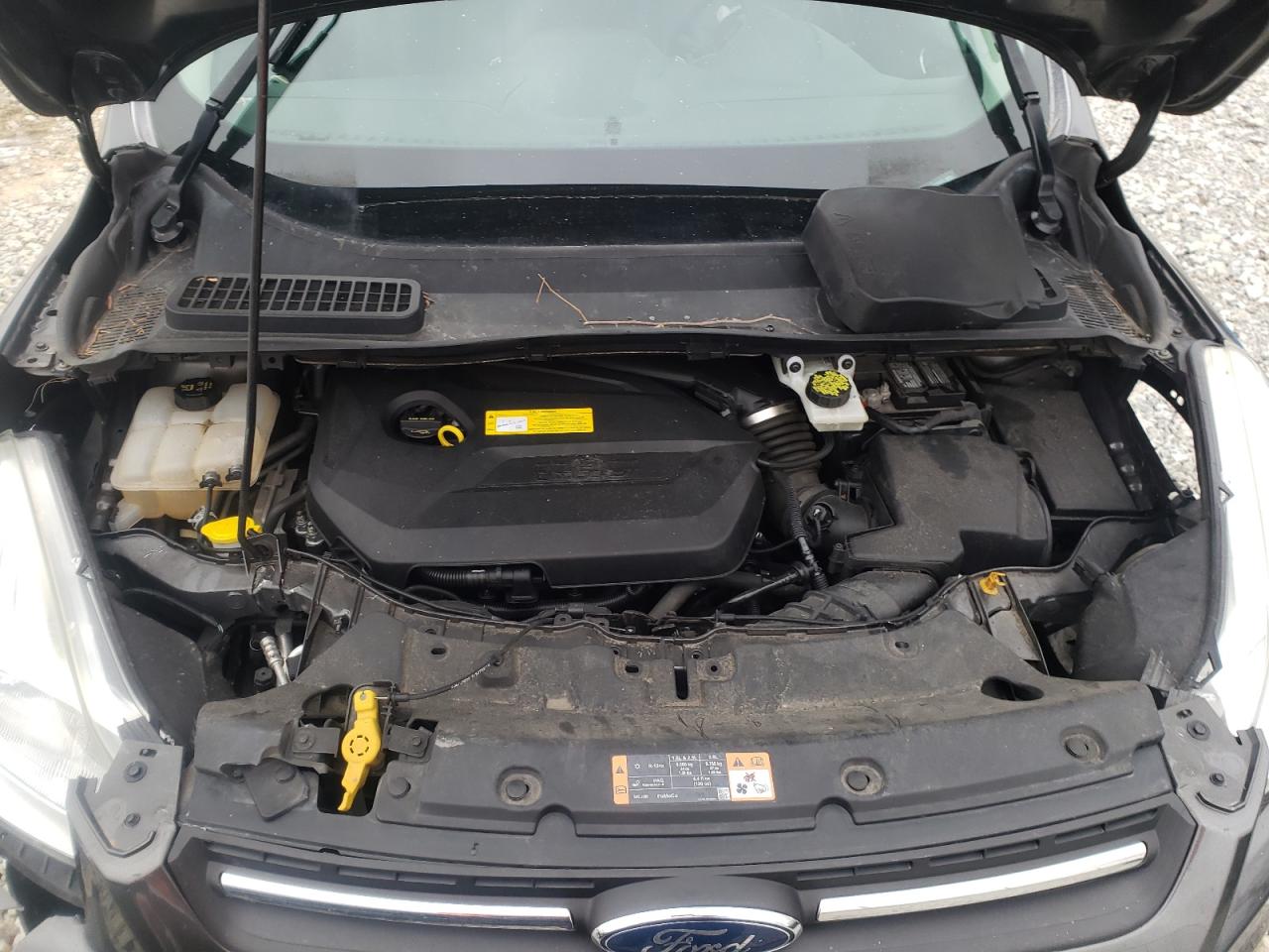 Photo 7 from auction – 2015 FORD ESCAPE SE with VIN 1FMCU0GX4FUC59673