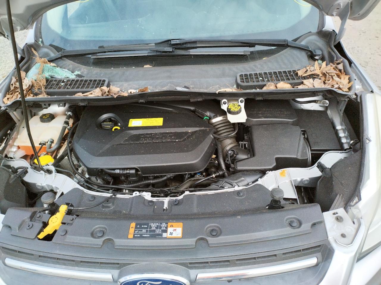 Photo 7 from auction – 2014 FORD ESCAPE SE with VIN 1FMCU0GX6EUC65134