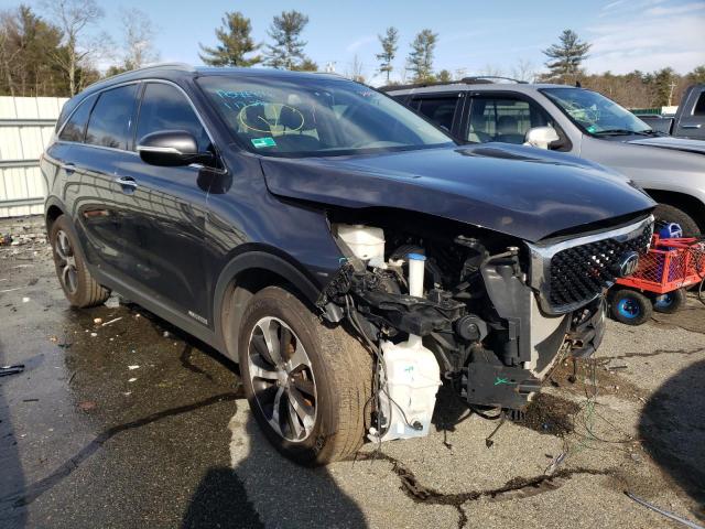 KIA SORENTO EX 2016 with VIN 5XYPHDA54GG091948 - Photo from auction